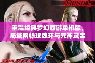 重温经典梦幻西游单机版，局域网畅玩魂环与元神灵宝系统