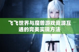 飞飞世界与魔兽游戏资源互通的完美实现方法