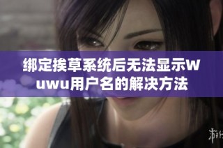 绑定挨草系统后无法显示Wuwu用户名的解决方法