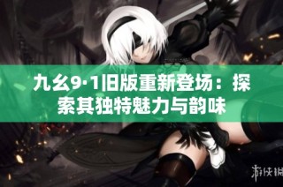 九幺9·1旧版重新登场：探索其独特魅力与韵味