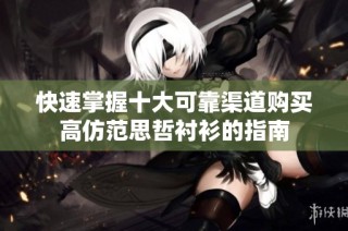 快速掌握十大可靠渠道购买高仿范思哲衬衫的指南