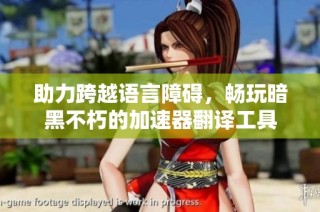 助力跨越语言障碍，畅玩暗黑不朽的加速器翻译工具