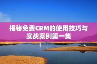 揭秘免费CRM的使用技巧与实战案例第一集