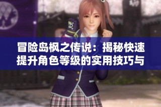 冒险岛枫之传说：揭秘快速提升角色等级的实用技巧与攻略