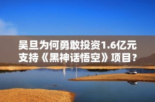 吴旦为何勇敢投资1.6亿元支持《黑神话悟空》项目？