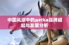 中国风潮中的дetka品牌崛起与发展分析