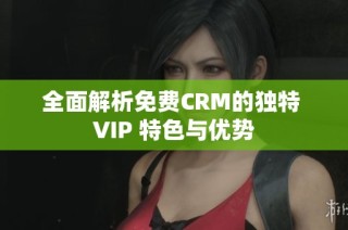 全面解析免费CRM的独特 VIP 特色与优势