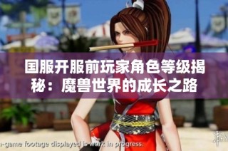 国服开服前玩家角色等级揭秘：魔兽世界的成长之路