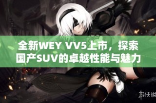 全新WEY VV5上市，探索国产SUV的卓越性能与魅力魅力