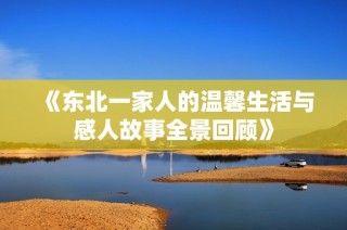 《东北一家人的温馨生活与感人故事全景回顾》