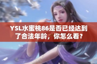 YSL水蜜桃86是否已经达到了合法年龄，你怎么看？