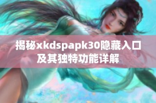 揭秘xkdspapk30隐藏入口及其独特功能详解