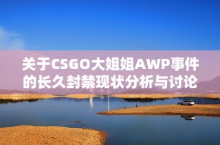 关于CSGO大姐姐AWP事件的长久封禁现状分析与讨论