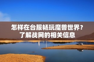 怎样在台服畅玩魔兽世界？了解战网的相关信息