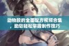 动物胶的全面配方视频合集，助您轻松掌握制作技巧