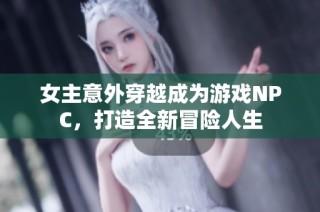 女主意外穿越成为游戏NPC，打造全新冒险人生