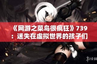 《网游之菜鸟很疯狂》739：迷失在虚拟世界的孩子们的烦恼与成长