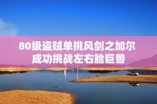 80级盗贼单挑风剑之加尔 成功挑战左右脸巨兽