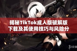 揭秘TikTok成人版破解版下载及其使用技巧与风险分析