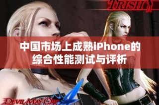 中国市场上成熟iPhone的综合性能测试与评析