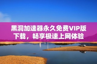 黑洞加速器永久免费VIP版下载，畅享极速上网体验