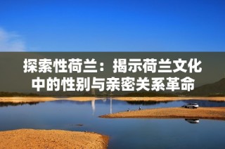 探索性荷兰：揭示荷兰文化中的性别与亲密关系革命