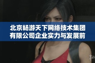 北京畅游天下网络技术集团有限公司企业实力与发展前景分析