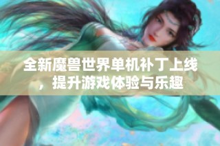 全新魔兽世界单机补丁上线，提升游戏体验与乐趣