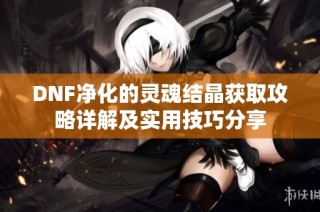 DNF净化的灵魂结晶获取攻略详解及实用技巧分享