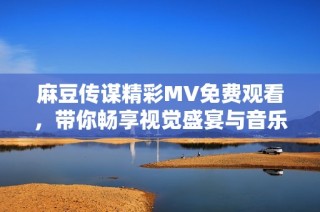 麻豆传谋精彩MV免费观看，带你畅享视觉盛宴与音乐魅力