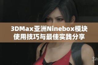 3DMax亚洲Ninebox模块使用技巧与最佳实践分享