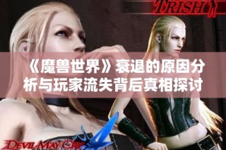 《魔兽世界》衰退的原因分析与玩家流失背后真相探讨