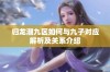 归龙潮九区如何与九子对应解析及关系介绍