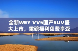 全新WEY VV5国产SUV盛大上市，重磅福利免费享受！