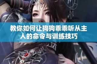 教你如何让狗狗乖乖听从主人的命令与训练技巧