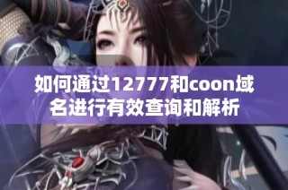 如何通过12777和coon域名进行有效查询和解析