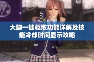 大脚一键驱散功能详解及技能冷却时间显示攻略
