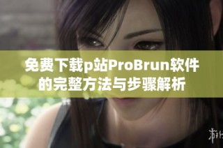 免费下载p站ProBrun软件的完整方法与步骤解析