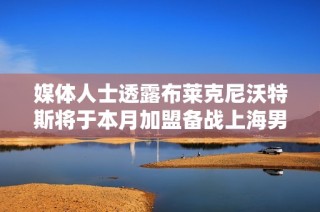 媒体人士透露布莱克尼沃特斯将于本月加盟备战上海男篮季