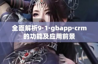 全面解析9·1·gbapp·crm的功能及应用前景