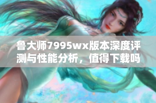 鲁大师7995wx版本深度评测与性能分析，值得下载吗