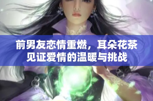 前男友恋情重燃，耳朵花茶见证爱情的温暖与挑战