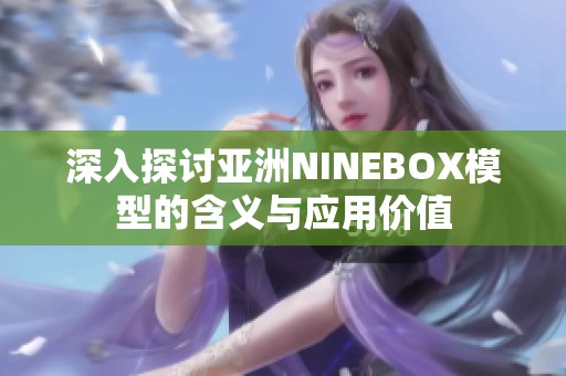 深入探讨亚洲NINEBOX模型的含义与应用价值