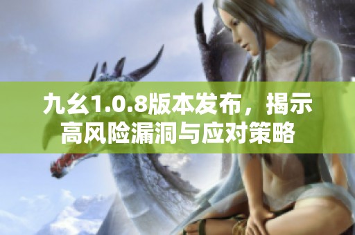 九幺1.0.8版本发布，揭示高风险漏洞与应对策略