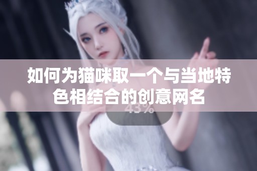 如何为猫咪取一个与当地特色相结合的创意网名