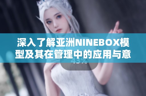 深入了解亚洲NINEBOX模型及其在管理中的应用与意义