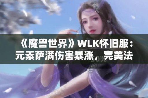 《魔兽世界》WLK怀旧服：元素萨满伤害暴涨，完美法术召唤全新体验