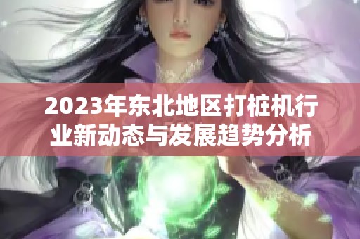 2023年东北地区打桩机行业新动态与发展趋势分析