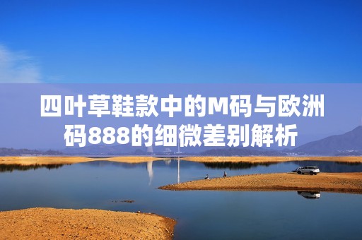 四叶草鞋款中的M码与欧洲码888的细微差别解析