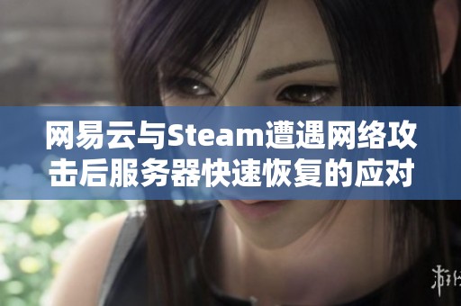 网易云与Steam遭遇网络攻击后服务器快速恢复的应对策略解析